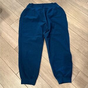 Beyond Yoga Jogger Pants